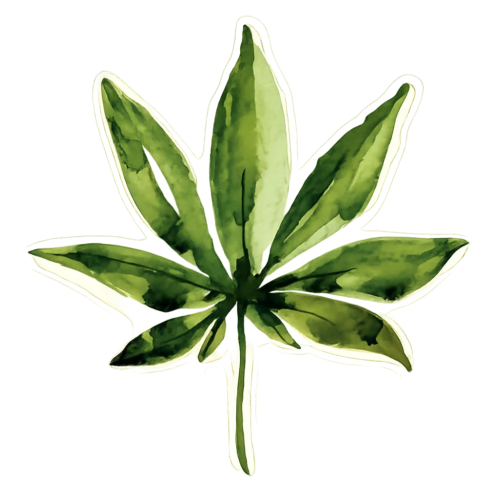 WBM watercolor leaf