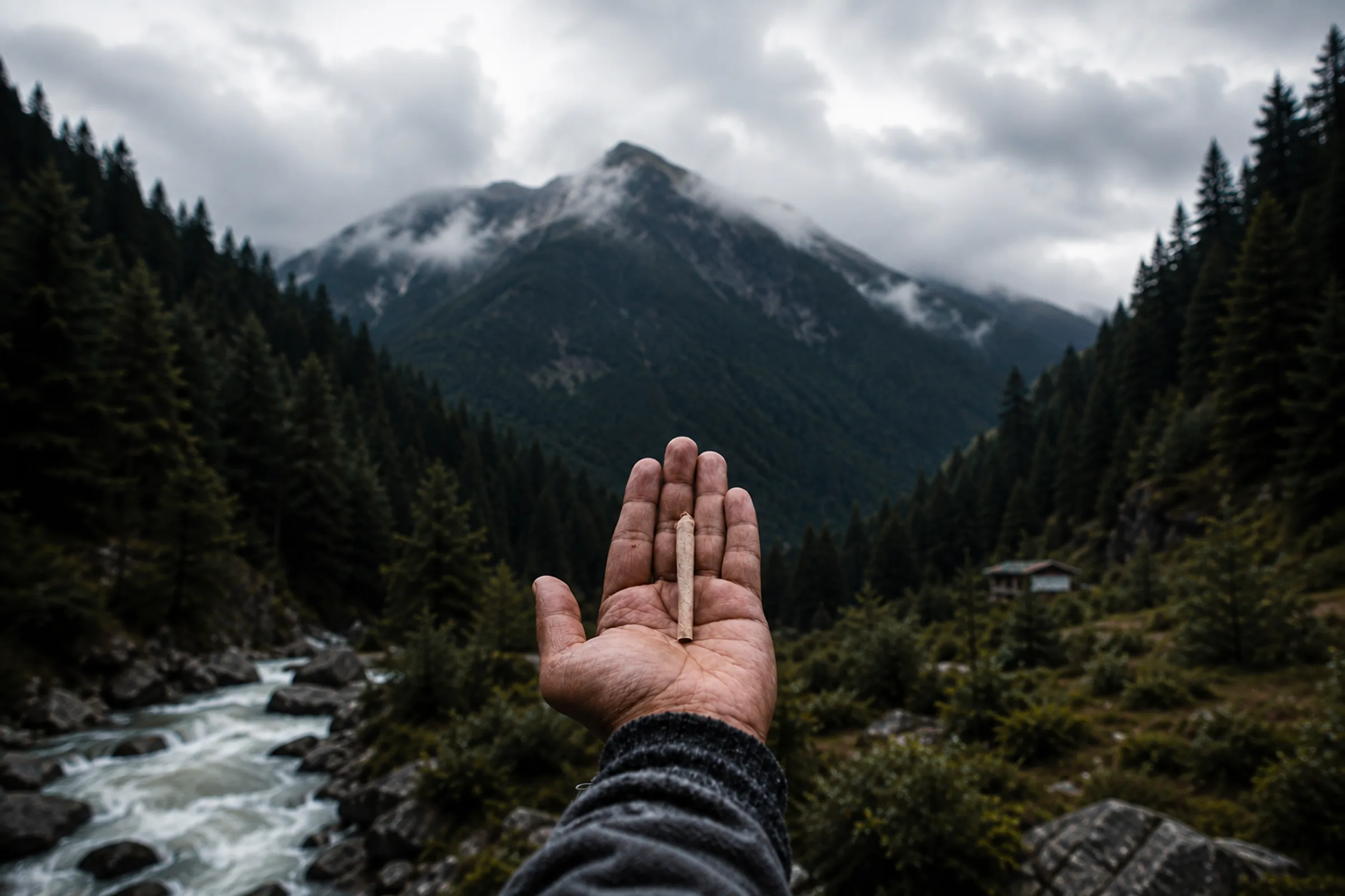 The Himalayas around Kasol