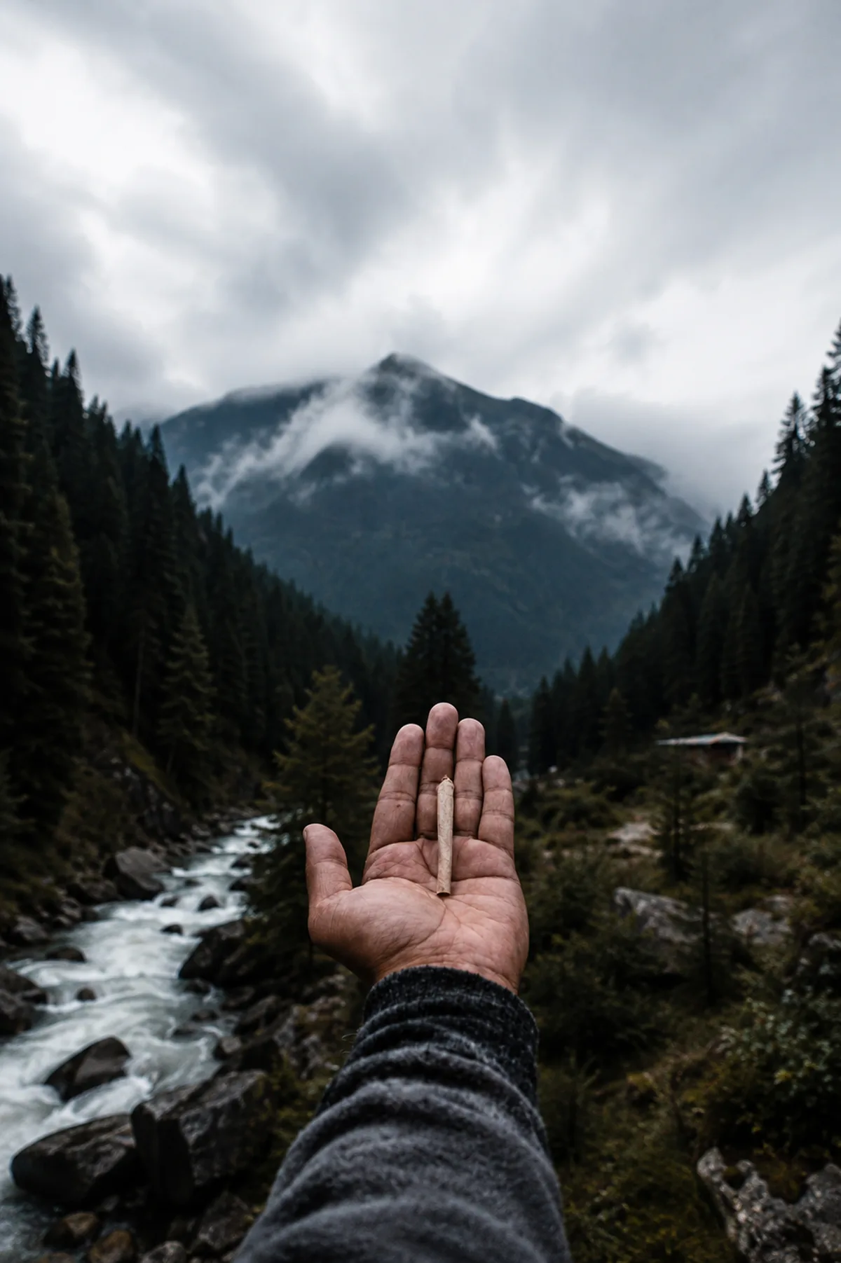 A hand holds a herb roll against a cinematic mountain landscape